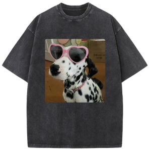 Heart Glasses Dog Washed T-shirt