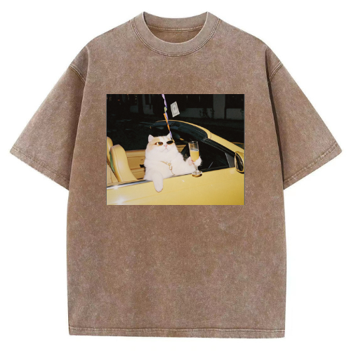 Cool Convertible Cat Washed T-shirt - Image 4